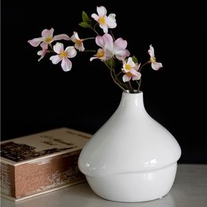 Ceramic Vase Home Decor